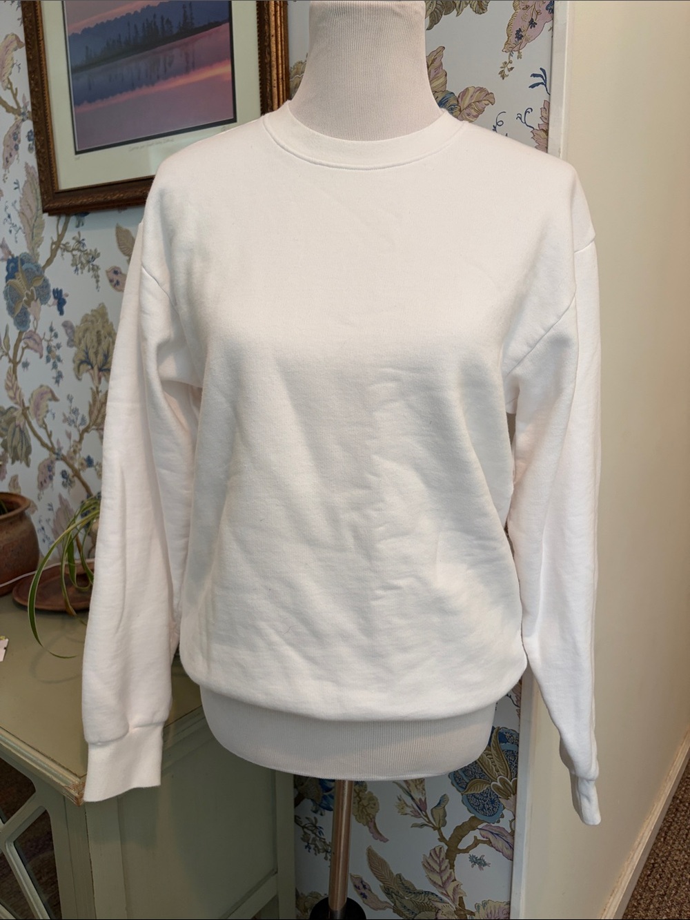 Aritzia the Constant Meander White Crewneck Sweatshirt